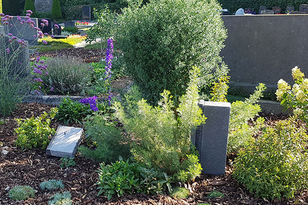 Memoriam Garten auf dem Friedhof Hungen