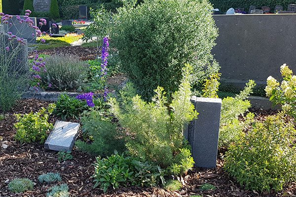Memoriam Garten auf dem Friedhof Hungen Memoriam Garten auf dem Friedhof Hungen
