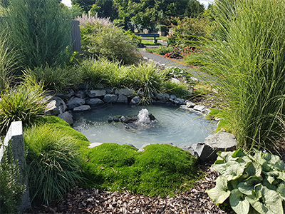 Teich Memoriam Garten Teich Memoriam-Garten