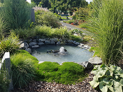 Teich Memoriam-Garten